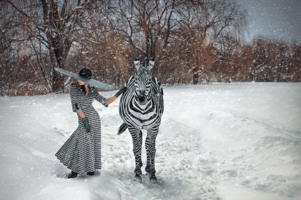 Beautiful young blonde woman wearing a long houndstooth pattern dress a large black hat and gloves standing in a snow storm with a zebra beside her in front of trees by Artmood Visualz